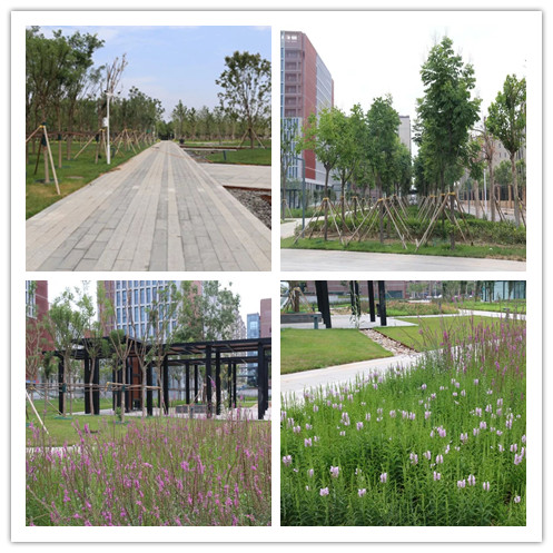 inntu_副本.jpg inntu_副本.jpg